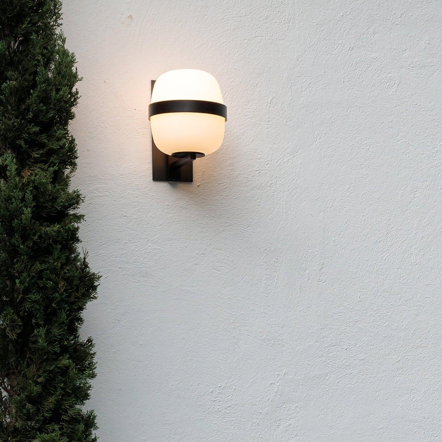 Wally Wall Lamp